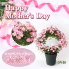 ��ͽ��� ����� �ץ쥼��� 2026ǯ �� ����̵�� �� �ߥ� �Х� �� ��� ����󥰻�Ω�ơ�5��ȭ ���� �� ���ե� gift rose �����ǥ� �� ������