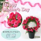 ��ͽ��� ����� �ץ쥼��� 2026ǯ �� ����̵�� �� �ߥ� �Х� �� ���� ����󥰻�Ω�ơ�5��ȭ ���� �� ���ե� gift rose �����ǥ� �� ������