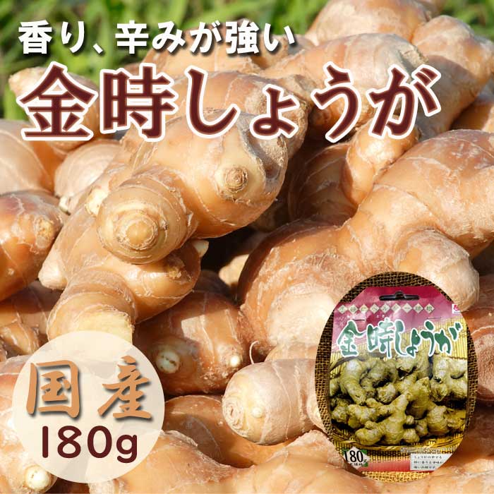 種 生姜 【 金時 しょうが 約180g】 種球根 千葉県産 国産 香り・辛み