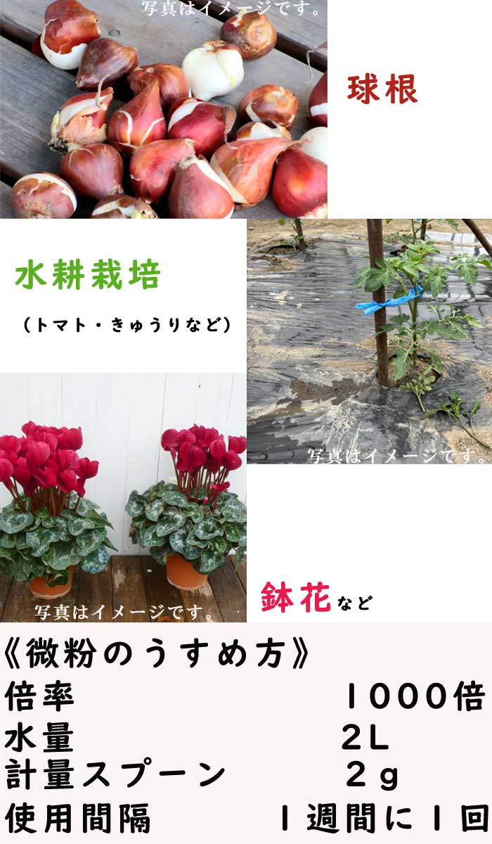 園芸用 肥料微粉ハイポネックス1500g 花き バラ 花壇 庭木 芝生 水耕