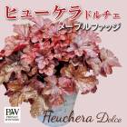 ҥ塼 ɥ ͵  顼꡼ ڥ᡼ץեå(Ͽʼ)9cmݥå տѲڤ Ƥ䤹 Ͽ 󤻿 ϥ󥮥 PW ϥ