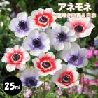 ��10�����ܤ��ȯ�������� ���ͥ�� �� ��ź餭 ���ġ����� �� �庬 25ml ������ �ץ�󥿡����� ���� �֤�����