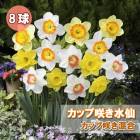 ���� �庬 ������ ���å׺餭 ���� 8�� �������� ������ �֤�����