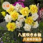 ���� �庬 ������ Ȭ�ź餭 ���� 8�� �������� ������ �֤�����