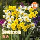 ���� �庬 ������ ˼�餭 ���� 8�� �������� ������ �֤�����