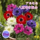 ��10�����ܤ��ȯ�������� ���ͥ�� �� Ȭ�ź餭 ���� �� �庬 25ml �ߥå��� ������ �ץ�󥿡����� ���� �֤�����