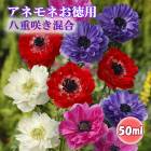 ��10�����ܤ��ȯ�������� ���ͥ�� �� Ȭ�ź餭 ���� �� �庬 50ml�� ������ �� ������ �ץ�󥿡����� ���� �֤�����