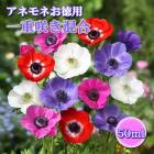 ��10�����ܤ��ȯ�������� ���ͥ�� �� ��ź餭 ���� �� �庬 50ml�� ������ �� ������ �ץ�󥿡����� ���� �֤�����