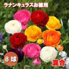 ��10�����ܤ��ȯ�������� ��ʥ󥭥�饹 �庬 �� ���� ������ ��8�� ������ �ߥå������顼 �󤻿��� �����ǥ˥� ��� ȭ���� �֤�����