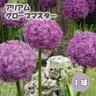 ꥢ ꥦ  ֥ޥ  庬 1 ܡǥ  鿴Ը ڤ֤ˤ ֤