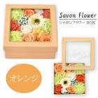 ����ܥ�ե� �����ץե� BOX ����� ����� ������ �ץ쥼��� ���ե� ���ä��� �Х� ������ �и� �� ����� ���ؼ� ´�ȼ� S-188