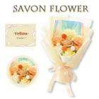 ����ܥ�ե� �����ץե� ���ե� �������� �֡���  ������ �ץ쥼���  �ˤ� £��ʪ �� �и� �����ޤι�� �İ��� ����� ���ؼ� ´�ȼ� SH-024