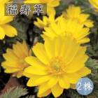 ʡ���� �庬 2�� �դ����夽�� ������ ������ ��ǯ��ˤ��� �߿��� �ɺ��� ¿ǯ�� ���� �֤�����