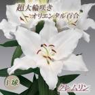 Ķ���� ���ꥨ�󥿥��꡼ �� ������� �� �庬 1�� �֤��礭�� ������ �߿��� �� ɴ�� ��� ��꡼ �֤�����