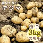 �ڣ�����ܤ��ȯ�������� �� ���㤬���� �ǥ��� ��� ��3kg ���羮�ߥå����� �����㤬 ������ ����� ��� �����ڱ� �֤�����