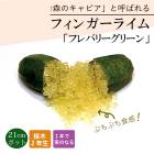 �ե��󥬡��饤�� ���� �ե�Х꡼���꡼�� 21���ȭ ���� ������ ���ȷ���� ���� ����ӥ��饤�� �ե��󥬡��饤�ॸ��ѥ� 2ǯ���� ����̵��