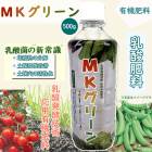 MK꡼ 500g  ھ   ߥλ ꥦ Ĺ ͭ ʬ