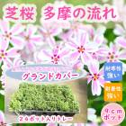 �� �� �Ǻ� ¿���ή�� 9����ݥå� 1�ȥ졼��24�ݥå������ �����ɥ��С� �����ǥ����ȥ饤�� ���Х����� ���Ф����� ����̵��