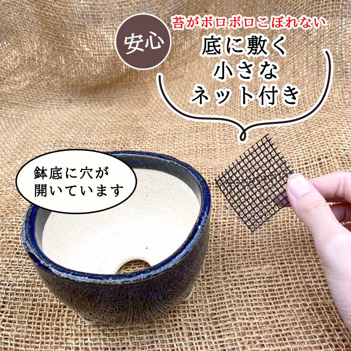 ミニ鉢 ( 苔用 ) 大サイズ 陶器鉢 苔鉢 手作り コケ 鉢 盆栽 苔玉 雑貨
