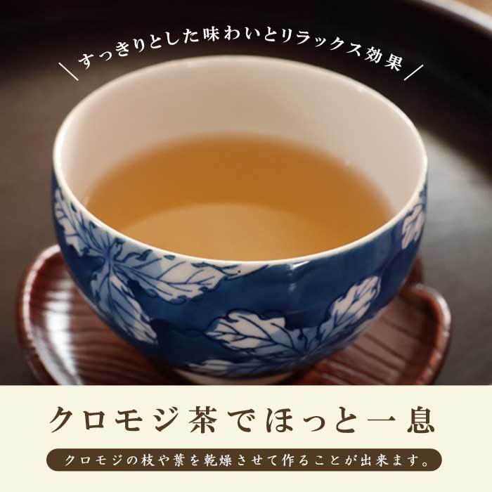 クロモジ ( 黒文字 ) 苗 10.5cmポット 高級爪楊枝 落葉低木 庭木 苗木