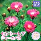 �ɺ��� �� ����ȡ��쥢 �ǥ�����Х� 9������󥰥ݥå� ����ä��󤽤� ¿ǯ�� �ڥ�˥���