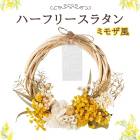 ϡե꡼ 饿 ߥ⥶ ߥ⥶ ֥ꥶ֥ɥե  β ŷǺ  ɳݤ ꡼ ɥ饤ե ե ץ쥼 ̵ 5076