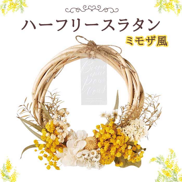 ＊ Natural＊ミモザのイエローリース　ミモザリース＊ドライフラワーリース 楽天市場】ふんわり＊ミモザのドライフラワーリース ナチュラルリース