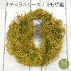 ʥ ꡼ M ߥ⥶ ߥ⥶ ߤ⤶ β ե ץ쥼  ŷǺ  ɾ ´ȼ  5037-B ̵