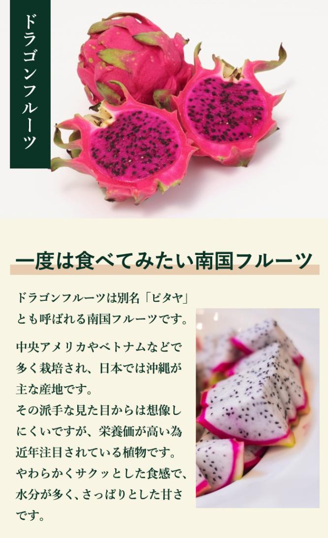 ドラゴンフルーツ 苗 10.5cmポット 赤肉 挿し木苗 トロピカル 人工授粉