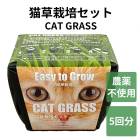 ǭ ݥå  ñ  ǭ Ƥ䤹 ͥ ͤ neko տʪ cat grass   Ի ֤ 