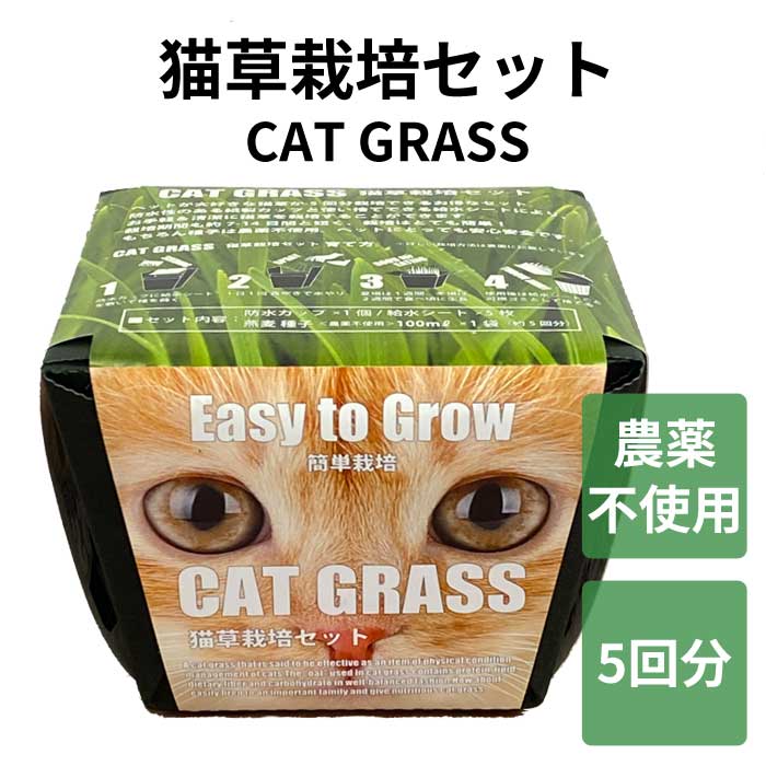 お花畑　猫　５個セット Amazon.co.jp: MRZJ JKR猫ペンホルダーネコのペンおき 全5種