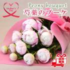 ��ͽ��� ����� 2026 �ץ쥼��� �� ���� �֡��� �� ��« ���ե� ��åԥ��դ� ���� ���쥬��� ���㥯�䥯 ����̵�� 50�� 60�� 70�� �֤�����