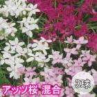���åĺ� ���� 3�� �ԥ� �ۥ磻�� ���� �� �տ��� �庬 �Х饨�ƥ� ȭ���� �Ͽ��� ���� �֤�����