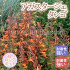 ��ͽ��۽ɺ��� �� �������������� ���� 9������󥰥ݥå� �뤵�˶��� ����ä��󤽤� ¿ǯ�� �ڥ�˥���ڣ�������ܤ��缡ȯ����