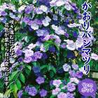 ���� �� ������Х�ޥĥ� 9����ݥå� �˥����Х�ޥĥ� �ֿ��Ѳ� �Ť����� ������ ȭ���� ���� ˧�� ���� ���� ���㥹�ߥ�ι�� ����ܥ�ĥ꡼