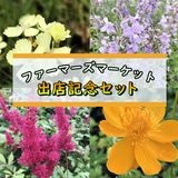 送料無料 | 花の大和オンラインショップ