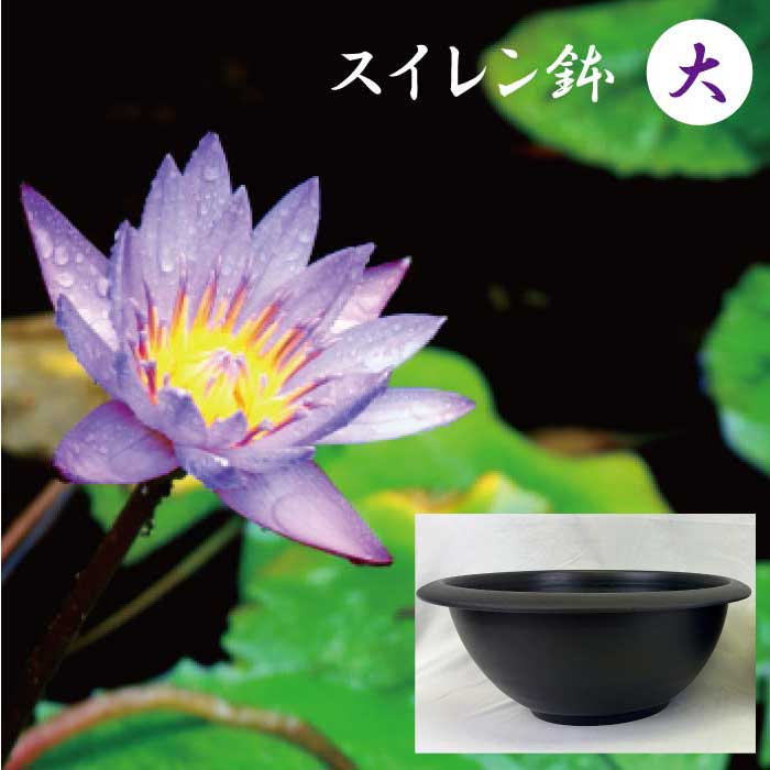 スイレン 鉢 大 直径45cm 深さ18cm 12リットル プラスチック 軽い