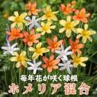 ۥꥢ 庬  庬 8 äѤʤ  󤻿 ץ󥿡  ǯ֤餯 ֤