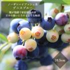 �֥롼�٥꡼ ���� �ϥ��֥å���� �ǥ˥��֥롼 10.5����ݥå� ���̼� blue berry ��� �����ǥ˥� ��������