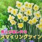 ��10�����ܤ��ȯ�������� �ֹ�� ���� �庬 �� ���ޥ���󥰥ĥ��� ��2�� �������� �ڤ�֤ˤ� ������ ��դβ� �󤻿��� ˧�� �֤�����