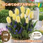 ͽۤϤƤΥ֥ǥå 塼å   ۡ ॹ 庬 17  鿴Ը ֤ 10ܤ缡ȯ