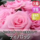 �Х� �� �ƥ��Υ��å� ��Ƥ䤹�� �͵��餭 12����ݥå� 2ǯ������ ����  �� ������ rose Tino Rossi