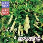 ���ХΥ����� 21cm�ޤ���24cm�ݥå�(���������ޤ���)  ��ȭ �� ������ ���� ���� ���� �ѽ��� �Ѵ���