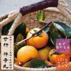 ų  ݡʤ󤸤ޤ ̼    12󥰥ݥå Ͽǰʪ ̵    