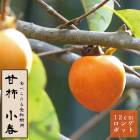 �ų� �� ���աʤ��Ϥ�� ���� �̼� ���� ���� �� 12������󥰥ݥå� ��ʴ������ ����̵�� �������� ���� ���� ��