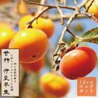 �ų� �� ��Ʀ�����ʤ����碌�� �̼� ���� ���� �� 12������󥰥ݥå� ����̵�� �������� ���� ���� ��