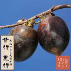 �ų� �� �����ʤ��������� �̼� ���� ���� �� 12������󥰥ݥå� �����ų� ����̵�� �������� ���� ���� ��