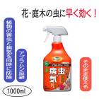  ٥˥Xץ졼 1000ml    ɽ µͽ  ֥ॷ ٥˥ ץ졼  ͧر