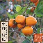 �ų� �� �����ʤ��󤷤夦�� �̼� ���� ���� �� 12������󥰥ݥå� PVP  ����̵�� ��������  ���� ��