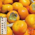 �ų� �� ����������ͭ�ʤޤĤ�Ȥ碌�դ椦�� �̼� ���� ���� �� 12������󥰥ݥå� ����̵�� ��������  ���� ��